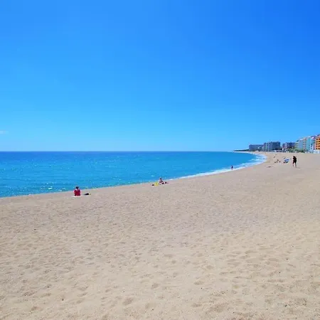 V&v Lloret- Cal Miquel *
