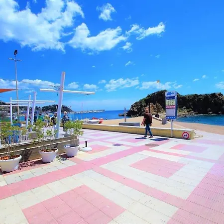 V&v Lloret- Cal Miquel ブラナス